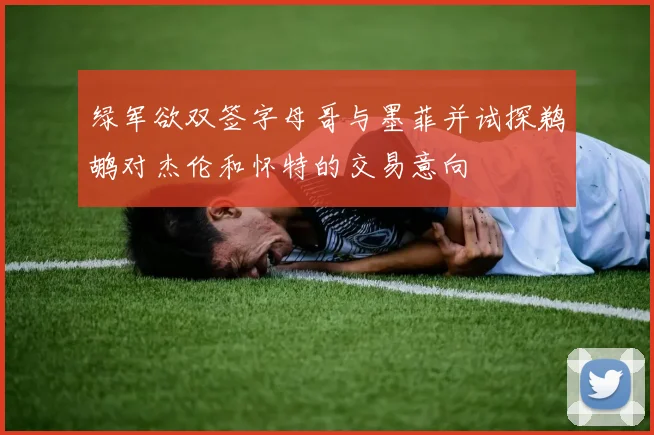 绿军欲双签字母哥与墨菲并试探鹈鹕对杰伦和怀特的交易意向