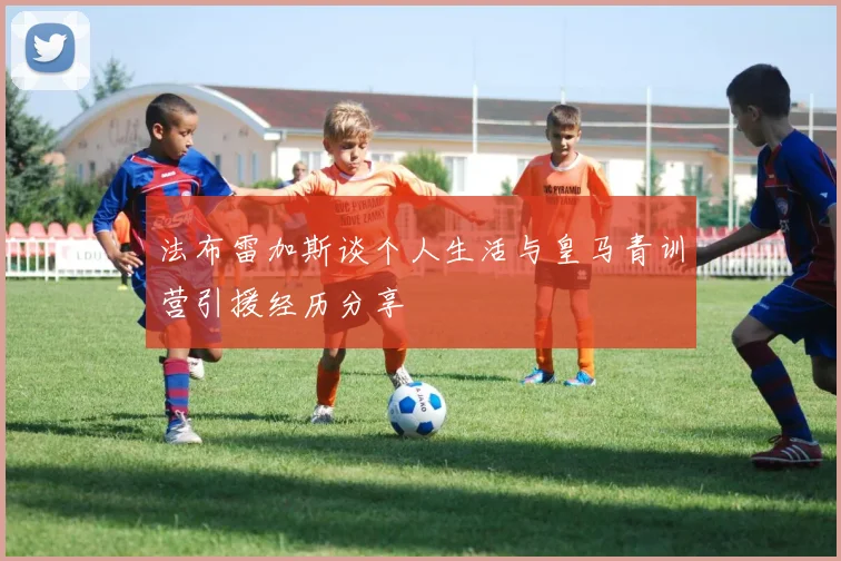 法布雷加斯谈个人生活与皇马青训营引援经历分享