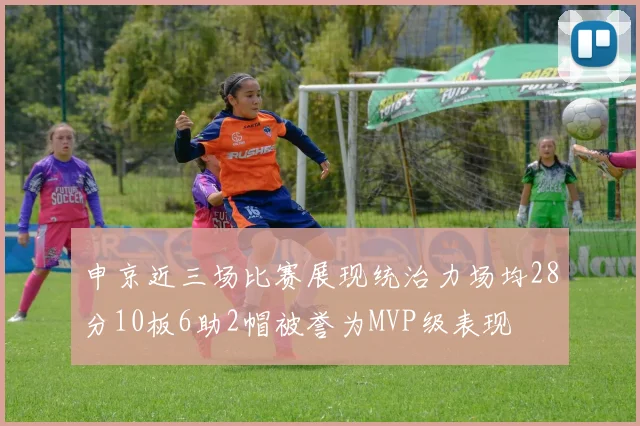 申京近三场比赛展现统治力场均28分10板6助2帽被誉为MVP级表现