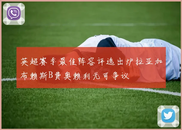 英超赛季最佳阵容评选出炉拉亚加布赖斯B费奥赖利无可争议